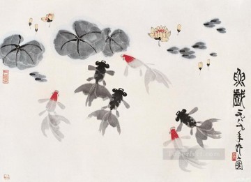 Wu Zuoren Painting - Wu zuoren so many fishes old China ink